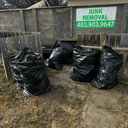 Junk Removal service